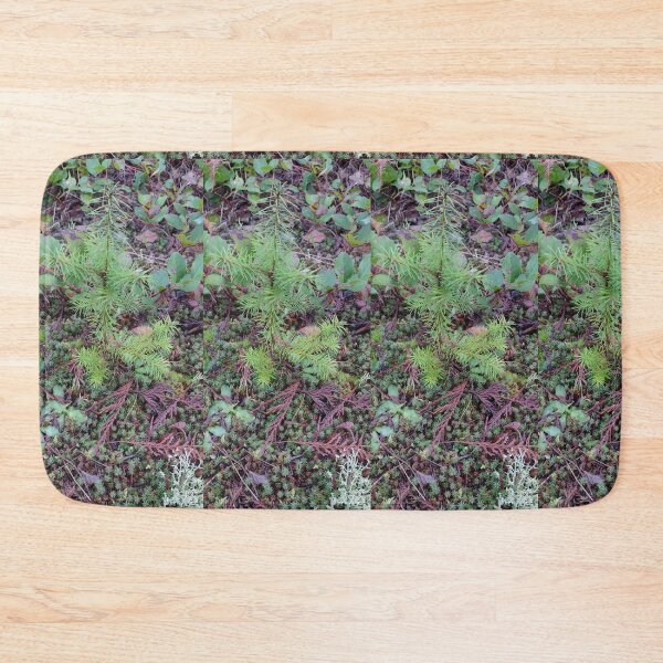 Item preview, Tree seedling growing on the forest floor designed and sold by rhodabear.