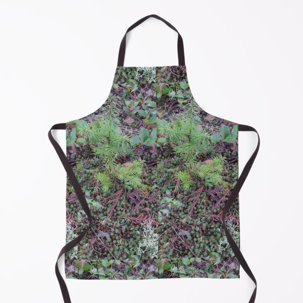 Item preview, Tree seedling growing on the forest floor designed and sold by rhodabear.