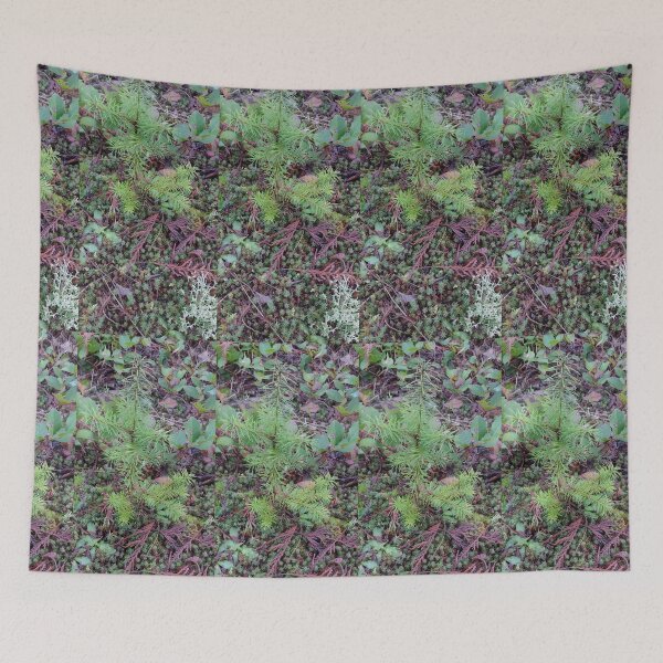 Item preview, Tree seedling growing on the forest floor designed and sold by rhodabear.
