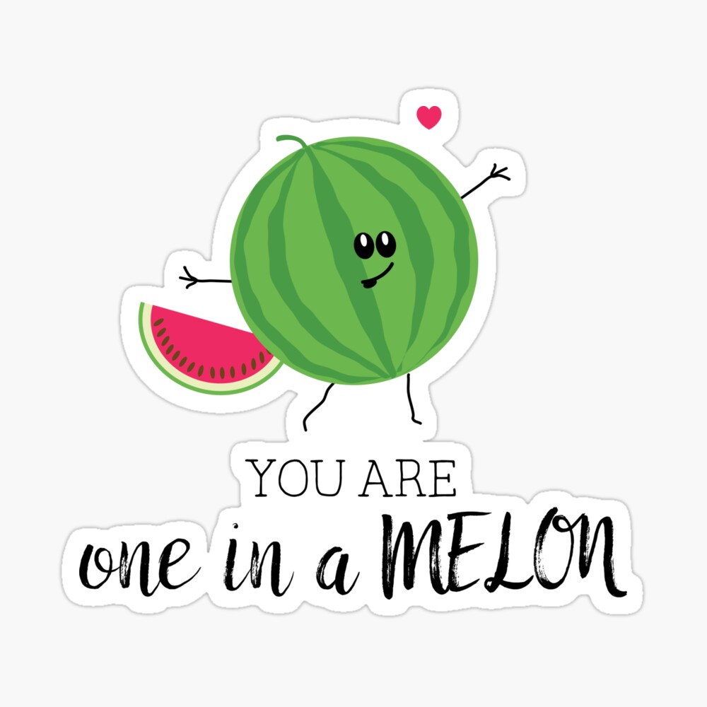 You Are One in a Million Fun Watermelon Summer Fruit Pun Sticker