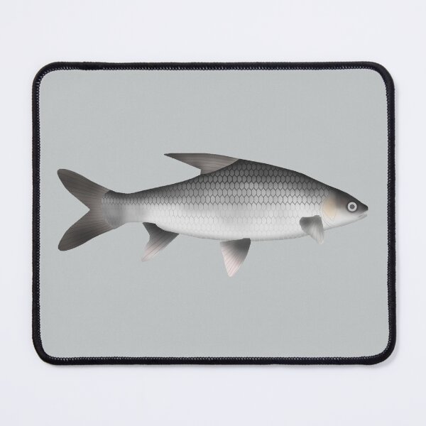 Item preview, Soldier River Barb designed and sold by fishfolkart.