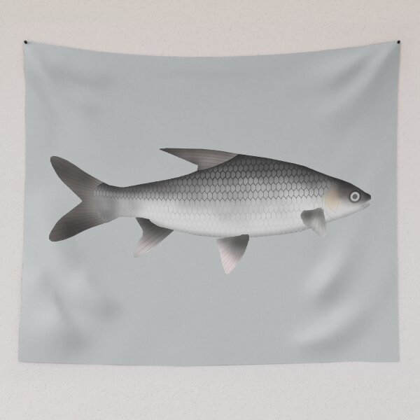Item preview, Soldier River Barb designed and sold by fishfolkart.