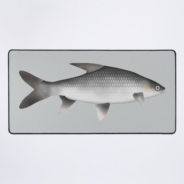 Item preview, Soldier River Barb designed and sold by fishfolkart.