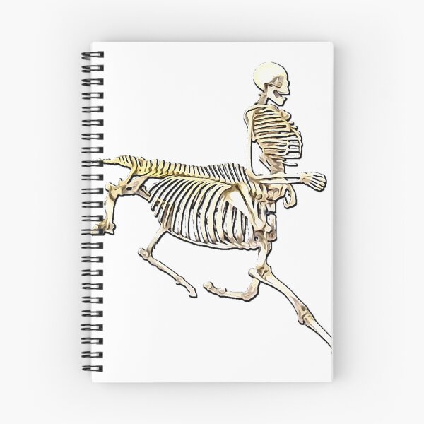 Item preview, centaur skeleton designed and sold by Zanimations.