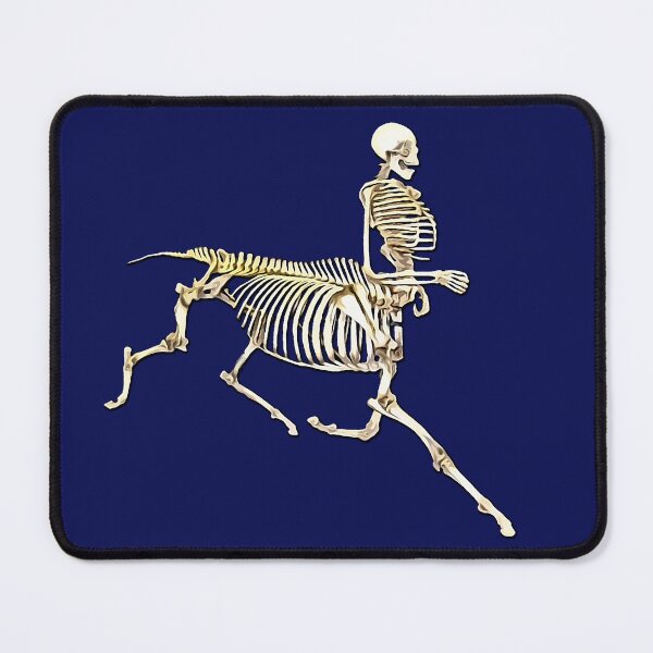 Item preview, centaur skeleton designed and sold by Zanimations.