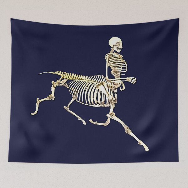 Item preview, centaur skeleton designed and sold by Zanimations.