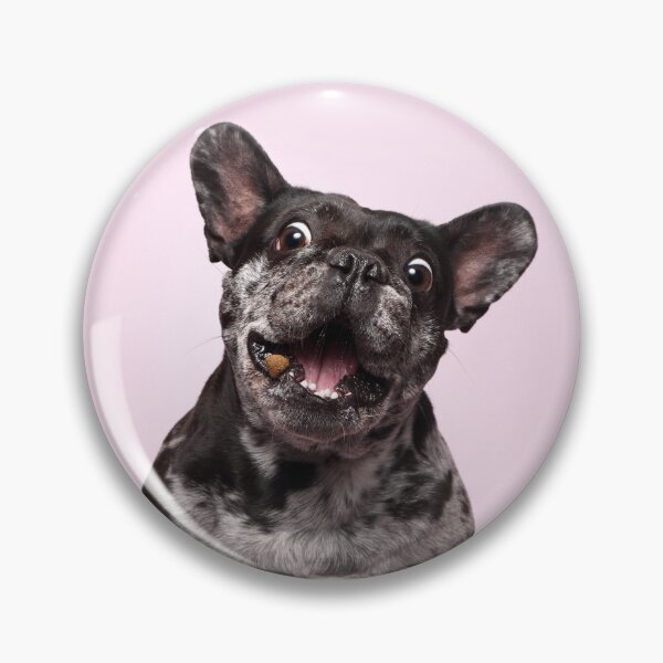 Item preview, Bully catches treats designed and sold by JeanettesPets.