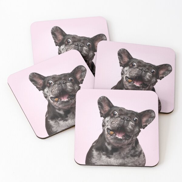 Item preview, Bully catches treats designed and sold by JeanettesPets.