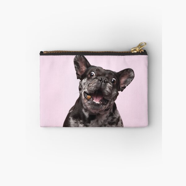 Item preview, Bully catches treats designed and sold by JeanettesPets.