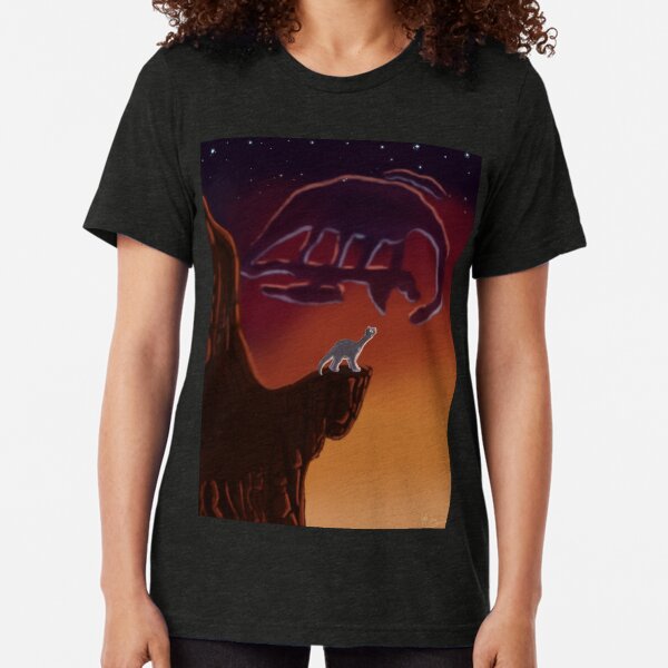 dinosaure Bébé Cadeau T Shirt Maman ensemble correspondant Momie Saurus//Baby Saurus