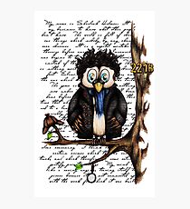 Crazy Owl - Sherlock Holmes inspired Photographic Print
