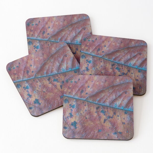 Item preview, Macro of an Autumn Ash Leaf designed and sold by Bill Spengler's Photographic Thoughts.