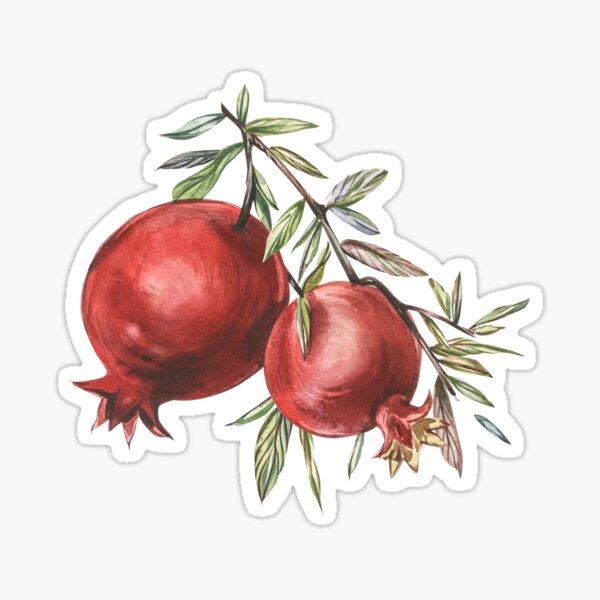 Item preview, Pomegranate designed and sold by Ann Astro.