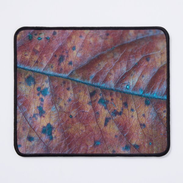 Item preview, Macro of an Autumn Ash Leaf designed and sold by Bill Spengler's Photographic Thoughts.