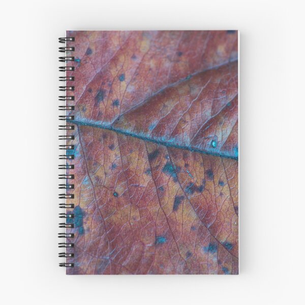 Item preview, Macro of an Autumn Ash Leaf designed and sold by Bill Spengler's Photographic Thoughts.