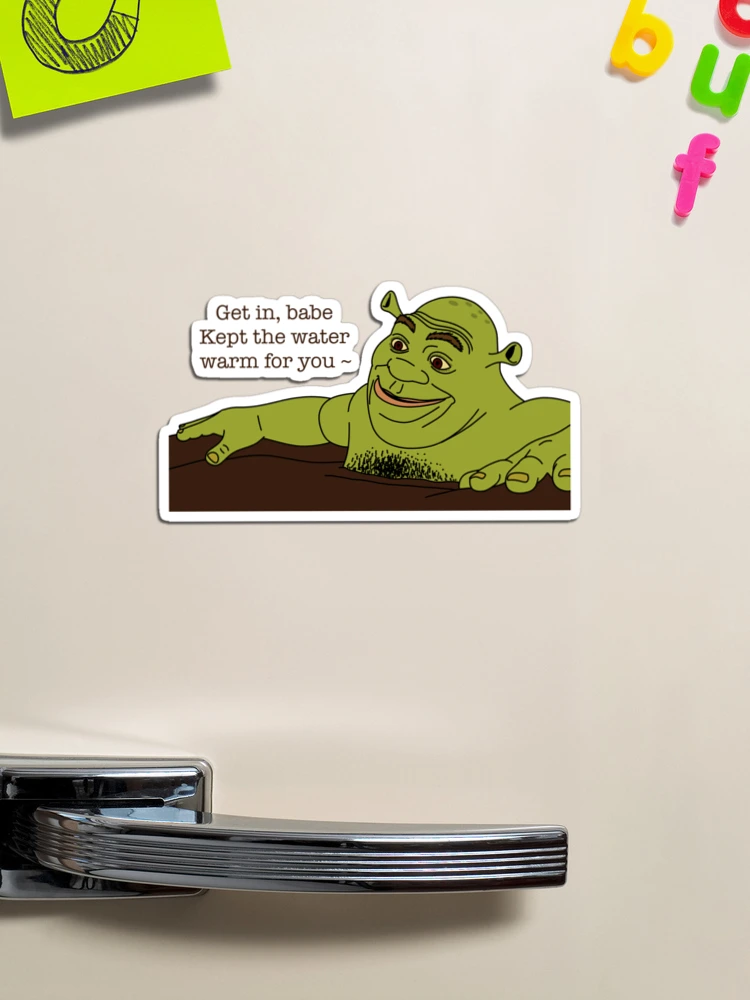 Channel your inner sexy Shrek #favors #memes #9gag