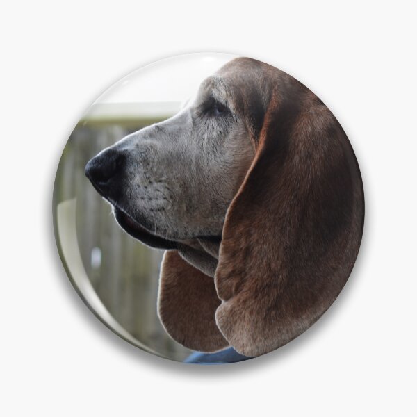 Item preview, Waiting Basset Hound designed and sold by DynamiteNoodles.