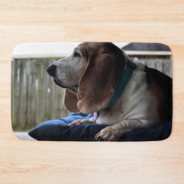 Item preview, Waiting Basset Hound designed and sold by DynamiteNoodles.