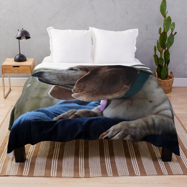 Item preview, Waiting Basset Hound designed and sold by DynamiteNoodles.