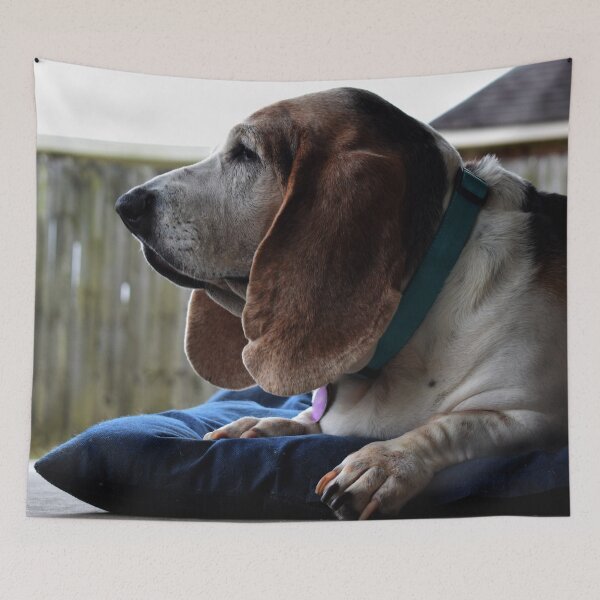 Item preview, Waiting Basset Hound designed and sold by DynamiteNoodles.