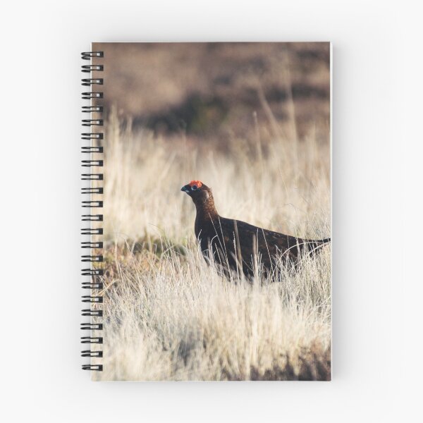 Item preview, On the heath designed and sold by PhotoTiphaine.