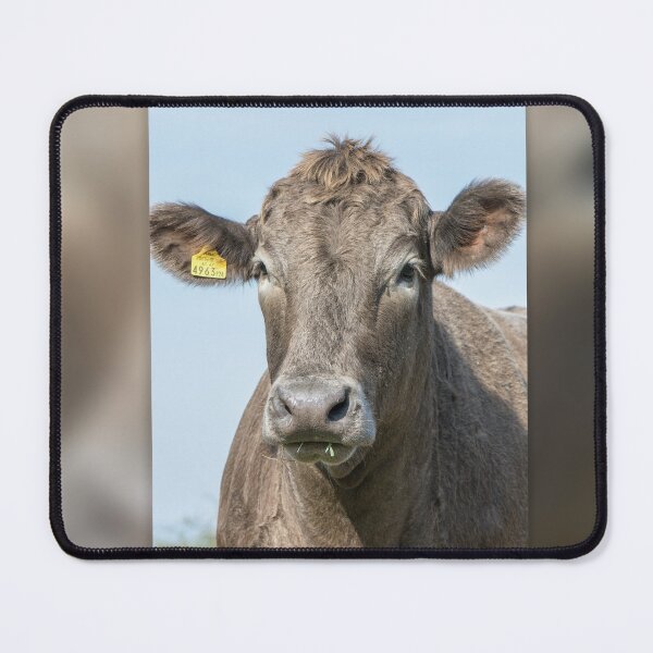 Item preview, cow smiles designed and sold by coolArtGermany.