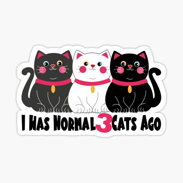 I Was Normal 3 Cats Ago' Women's T-shirt  For Cat Moms with Humor! –  Meowgicians™