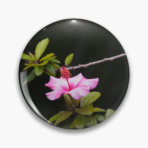 Item preview, HIBISCUS. GULBENKIAN GARDEN designed and sold by Tereza Pilar  Art.