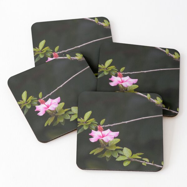Item preview, HIBISCUS. GULBENKIAN GARDEN designed and sold by Tereza Pilar  Art.