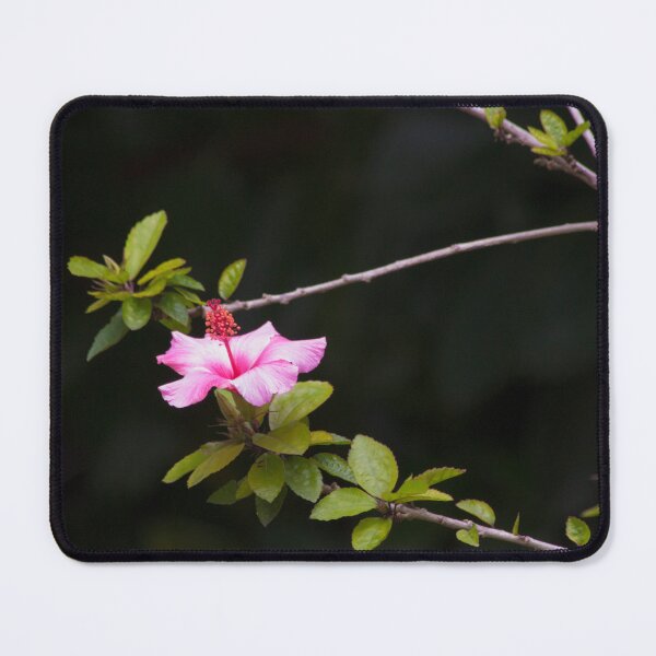 Item preview, HIBISCUS. GULBENKIAN GARDEN designed and sold by Tereza Pilar  Art.