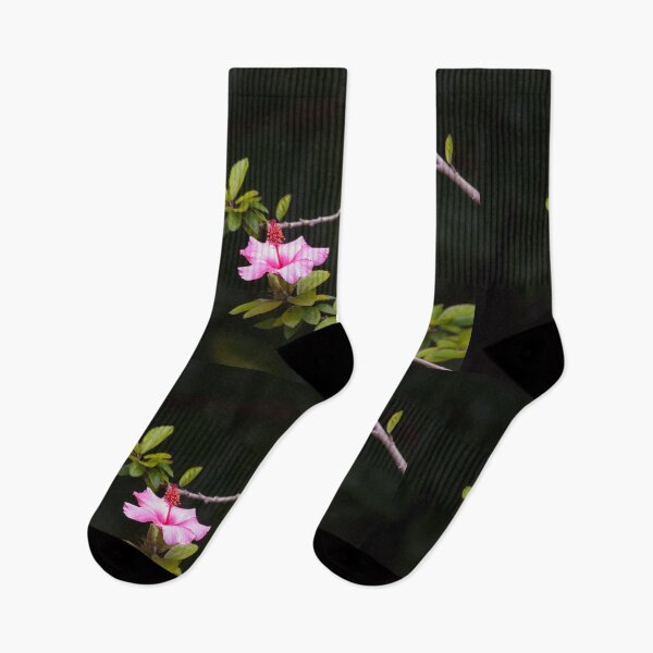 Item preview, HIBISCUS. GULBENKIAN GARDEN designed and sold by Tereza Pilar  Art.