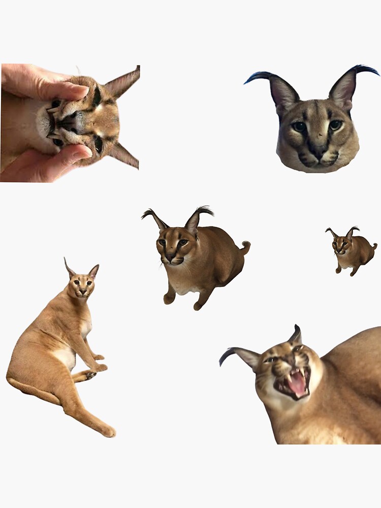 Big floppa sticker pack cat meme | Poster