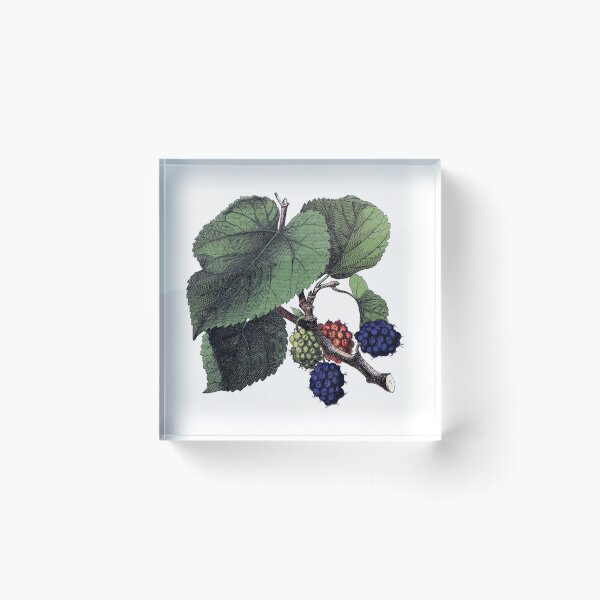 Item preview, Mulberry designed and sold by Adidit.