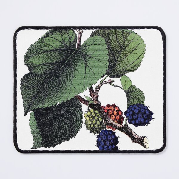 Item preview, Mulberry designed and sold by Adidit.