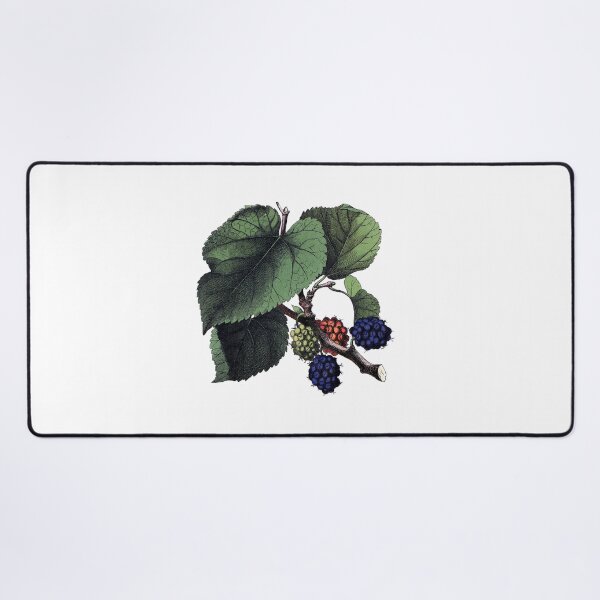 Item preview, Mulberry designed and sold by Adidit.