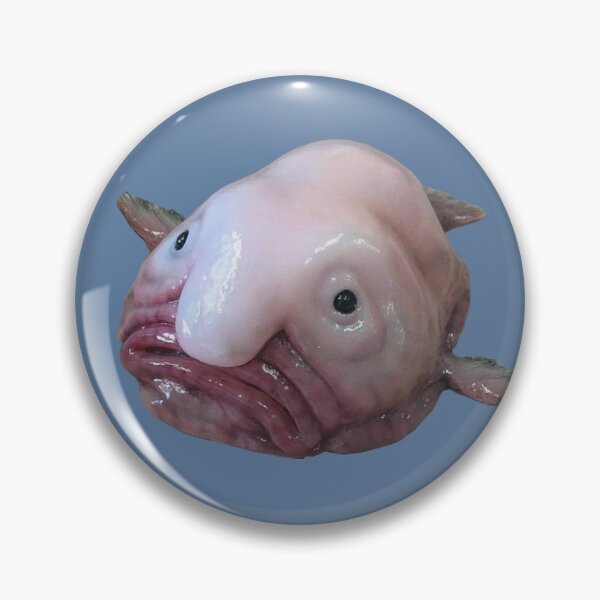 Funny Blob Fish Pins and Buttons for Sale