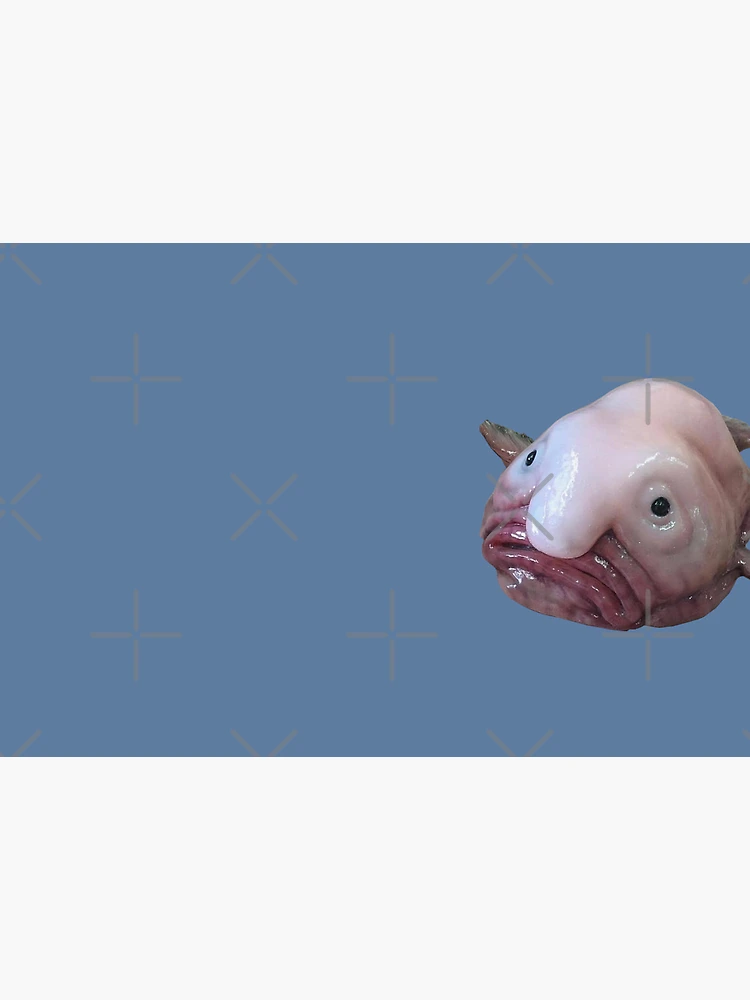 Windows - [BUG] Blobfish Mask's is little off