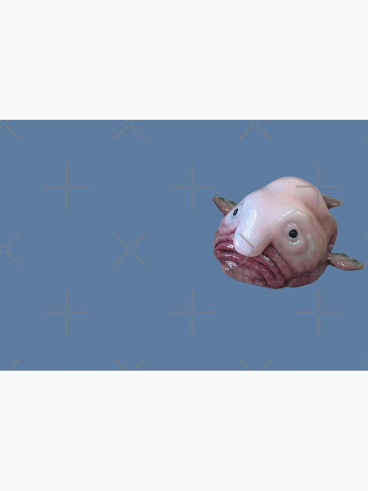 JOURNAL: Blobfish Blobfish Is My Spirit Animal Funny Blobfish Meme: Design  Notebook 8.5 x 11