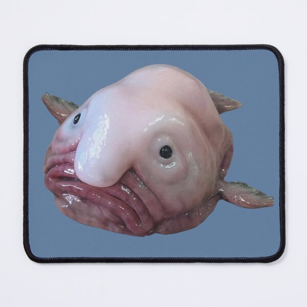 Item preview, Blob Fish designed and sold by SillyFun.