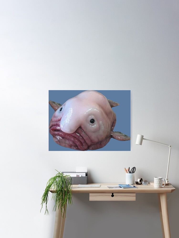 Blob Fish Poster for Sale by SillyFun