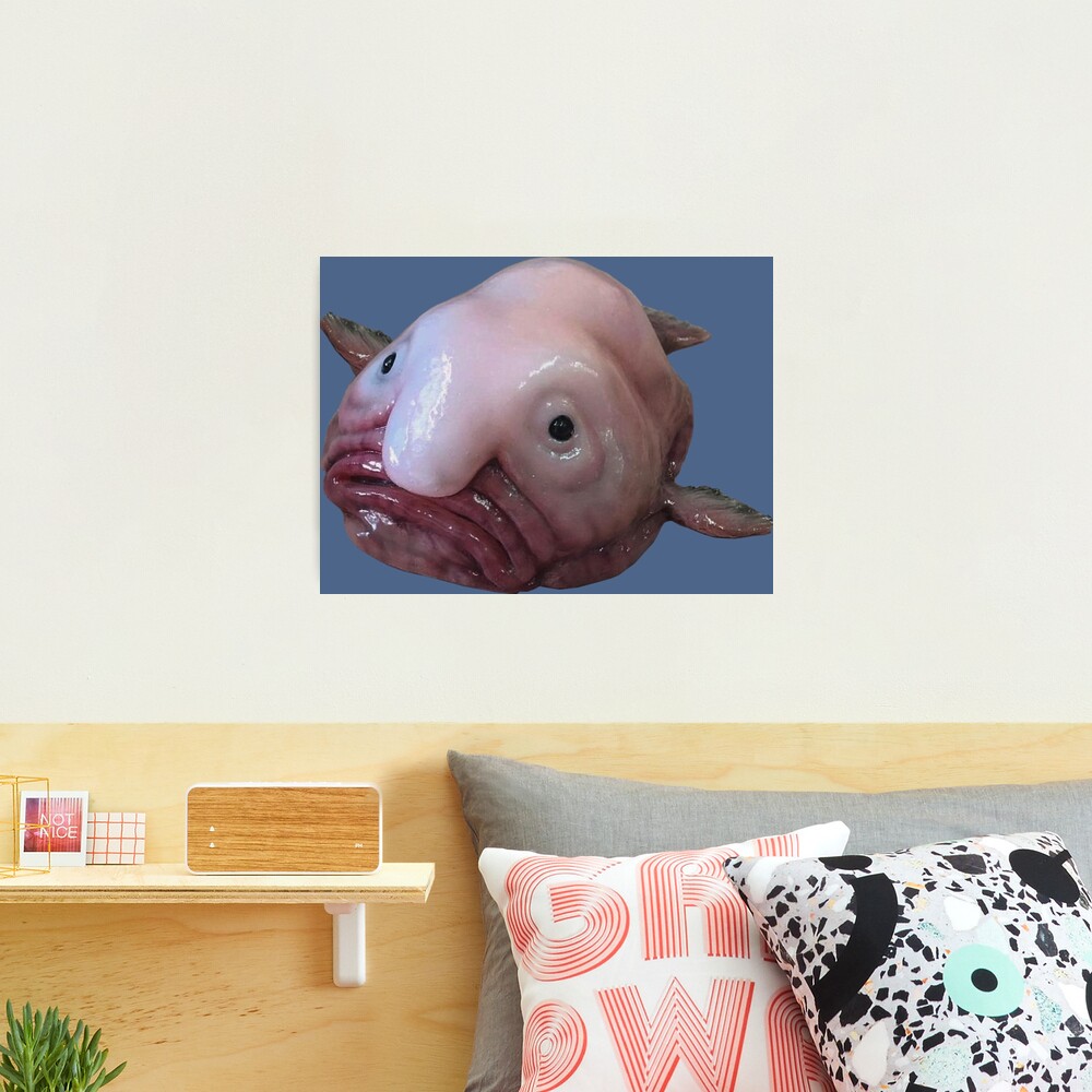 Blob Fish Mounted Print for Sale by SillyFun