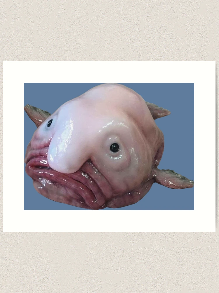 Blob Fish Print – Kristina Micotti