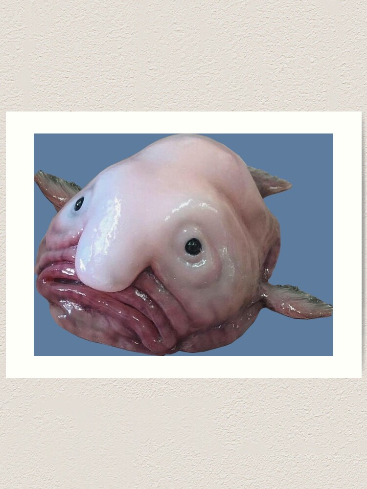 Blob Fish Sculpture 