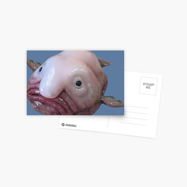 Expressions of Blobfish  Funny Ugly Fish Meme Postcard for Sale