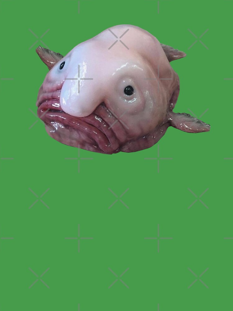 Replying to @john_delorean00 #greenscreen #blobfish #marinebiology #an