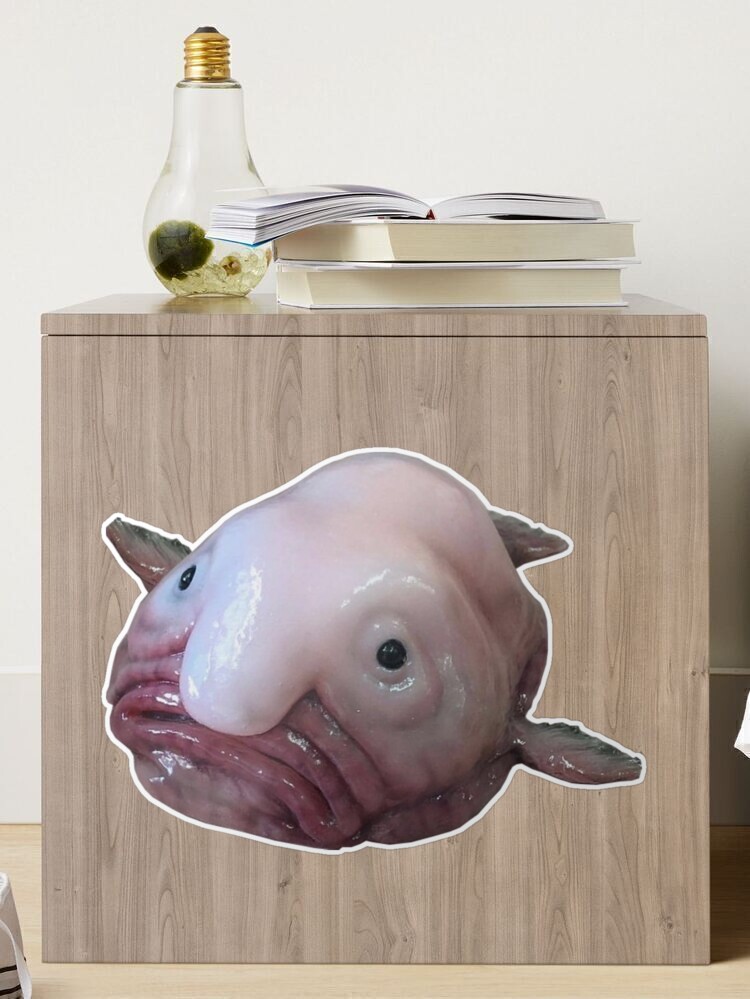 Blob Fish Sticker for Sale by SillyFun