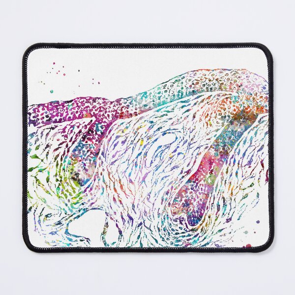 Item preview, Skin Section Showing Growing Hair Follicles designed and sold by EvasDreams.