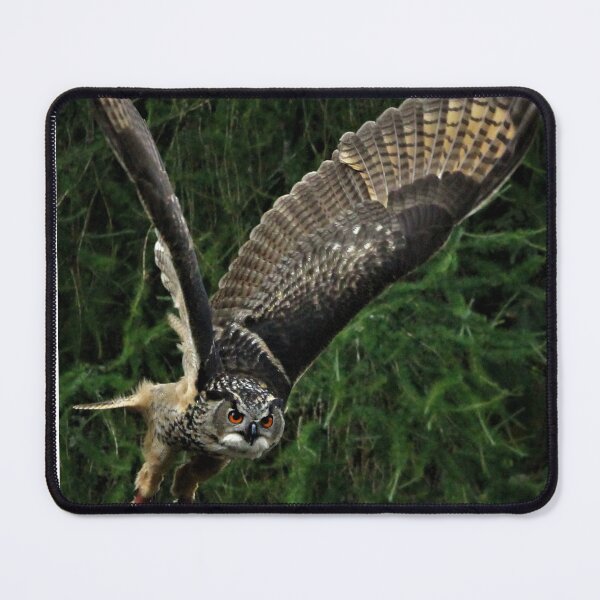 Item preview, Burrowing Owl designed and sold by Ladymoose.