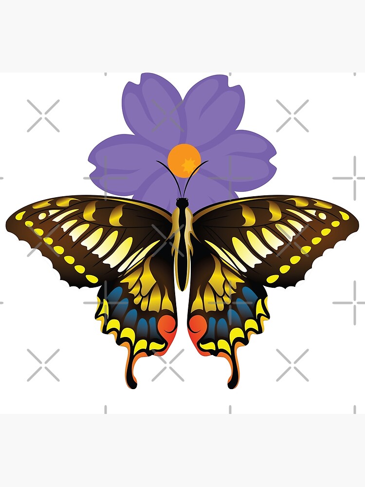 "Encanto Butterfly" Photographic Print for Sale by Kojyo | Redbubble