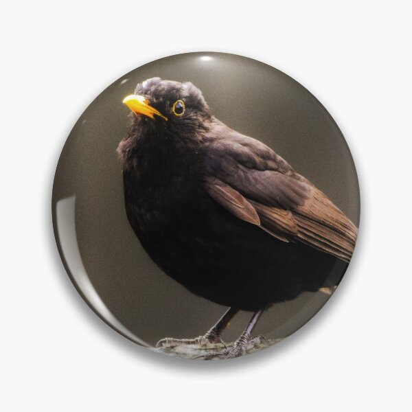 Item preview, Blackbird on a Fence Post designed and sold by rwhooster.